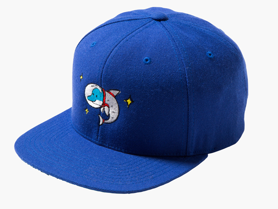 cap_01