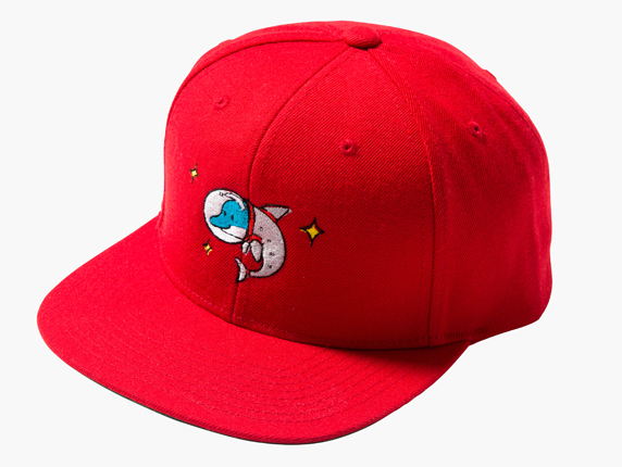 cap_02