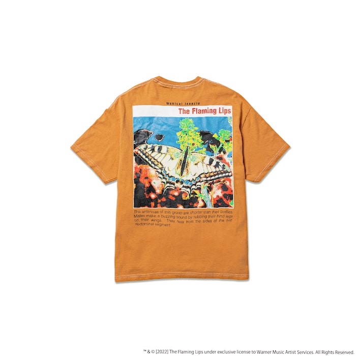 22SS-FLAMING LIPS×FS-04_GOLD_2-min