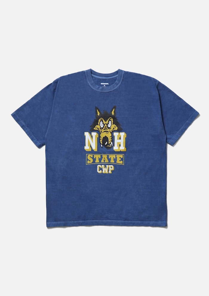 252PCNH-ST15_01.jpgのコピー-