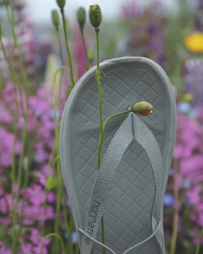 nonnative(ノンネイティブ)｜rig × nonnative PWANI｜正規通販