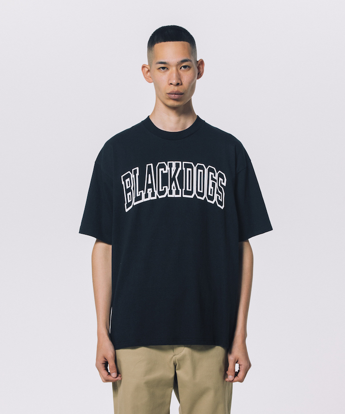 ロットワイラー rw24s0627_10.jpg