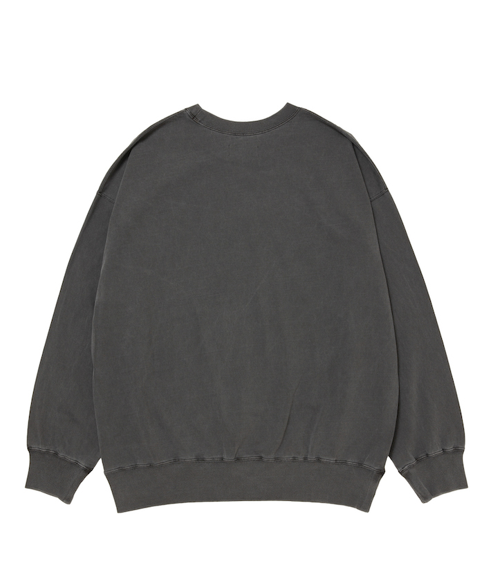 ロットワイラー Oogatainu-kuchiwa-kegireshinai.jpg