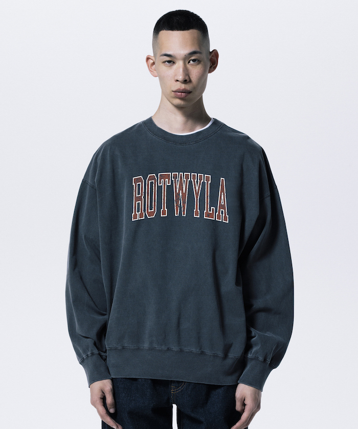 ロットワイラー ロッド Super Kenzaki 270 ロッド Super Kenzaki 270 ダイワ(Daiwa) HZ